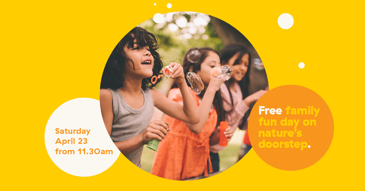 Free Family Fun Day